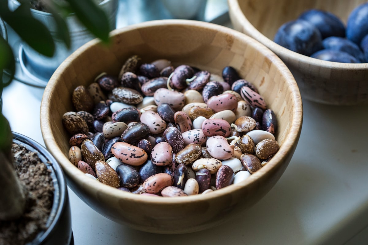 Soia: fonte completa di proteine vegetali